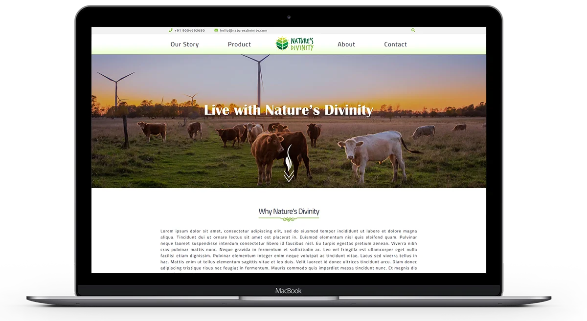 Nature's Divinity home page screens work with "ui-ux design," "wordpress design," "wordpress development"